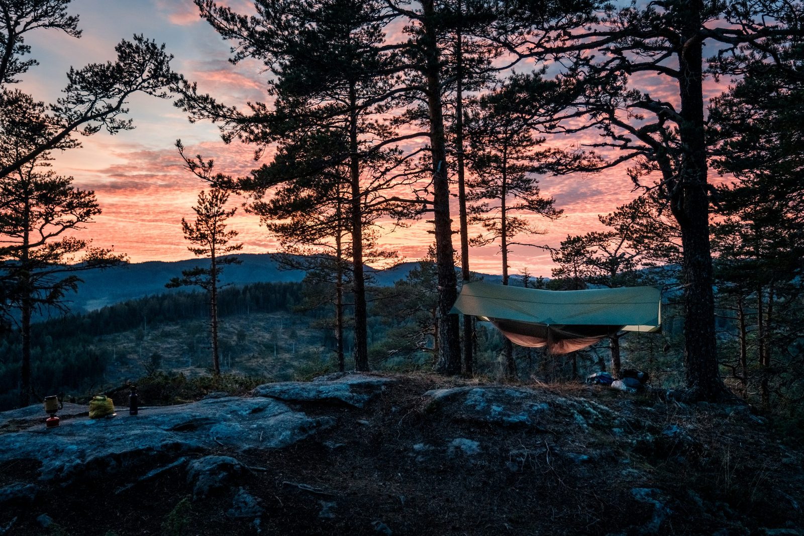 Skymning i tallskogen ovanför Höga Kusten, med en hängmatta uppspänd mellan träden